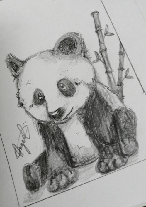 Brief panda sketch