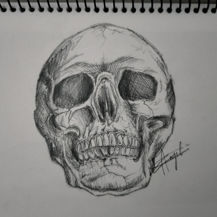 Skull